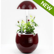 Floreira Hidropnica - J301 Bord - JardiNice